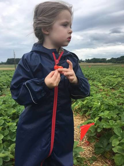 strawberries in the rain